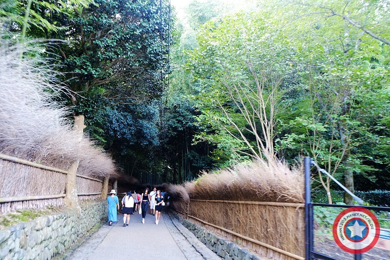 京都嵐山。嵯峨嵐山渡月橋散策