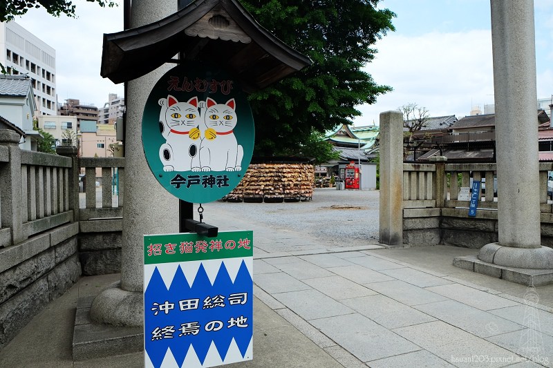 東京淺草。好多貓貓的今戶神社