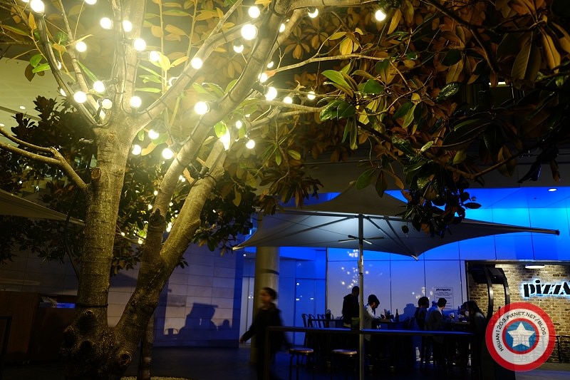 〔雪梨。Sydney〕。2015雪梨燈光節Vivid Light - 達令港