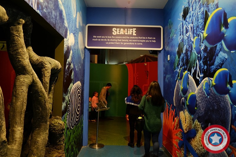 〔雪梨。Sydney〕。海洋生物水族館｜Sealife